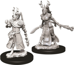 Human Druid - Female - 73701 - D&D Nolzur's Marvelous Miniatures